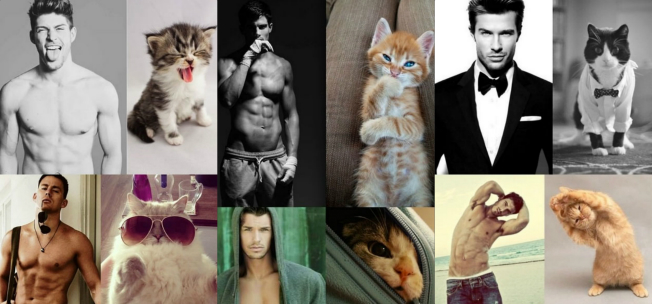 ¿Hombre o gato? Decide con esta foto ¿Hombre o gato? Decide con esta foto