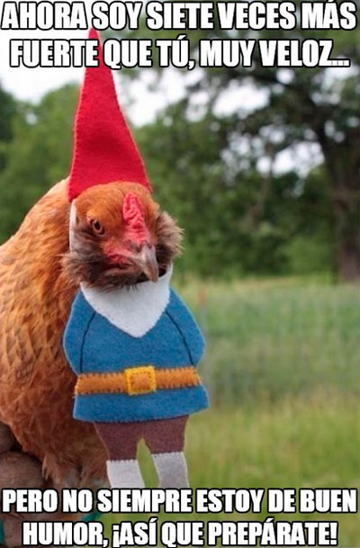 Una gallina en Halloween; puede ser épico. 