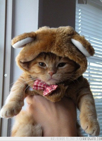 La venganza será grande... La venganza será grande...