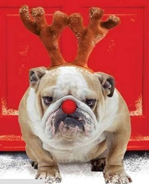 El disfraz más ridículo y gracioso para Navidad El disfraz más ridículo y gracioso para Navidad