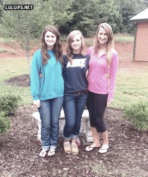 Las mascotas odian los petardos navideños Las mascotas odian los petardos navideños