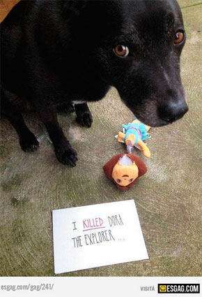 Este perro se arrepiente de haber sido travieso. Este perro se arrepiente de haber sido travieso.