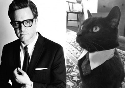 Lo bien que le queda un traje a un gato Lo bien que le queda un traje a un gato