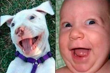 No hay pareja más adorable que un bebé con su perro. 