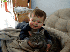 Abrazo fuerte al gato. Abrazo fuerte al gato.