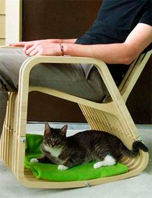 No te separes de tu gato ni un momento con este invento. No te separes de tu gato ni un momento con este invento.