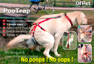 El invento definitivo para recoger las cacas de los perros El invento definitivo para recoger las cacas de los perros.