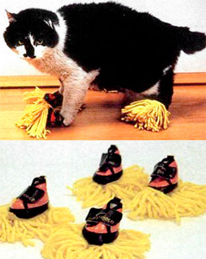 Los zapatos que todo dueño querrá para su gato. Los zapatos que todo dueño querrá para su gato.