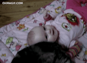 Tu gato o perro cuidará de tu bebé. Tu gato o perro cuidará de tu bebé.