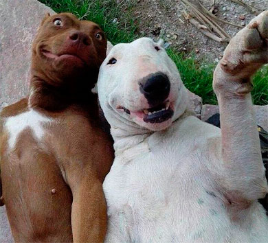 La after sex selfie más perruna. 