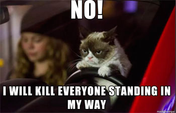 Este gato tiene peor humor que cualquier humano. 