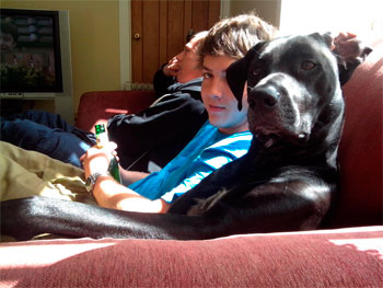 Este perro es un humano más entre sus amigos. 