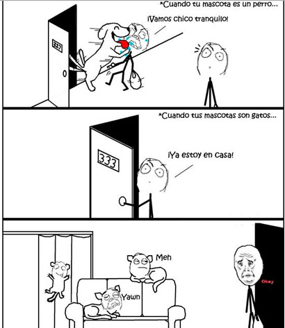 Qué diferente es tu perro que tu gato. 