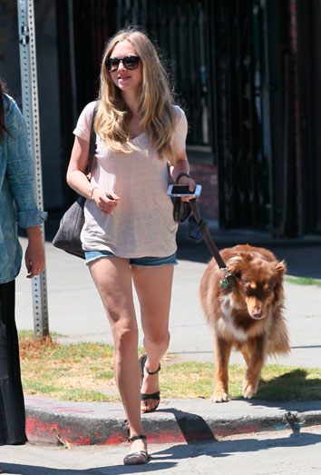 Amanda Seyfried y Finn: perros de famosos. 