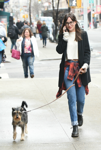 Dakota Johnson y su perro Zeppelin Dakota Johnson y su perro Zeppelin
