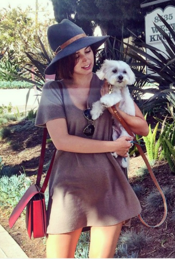 Ana de Armas y Elvis, su bichón maltés Ana de Armas y Elvis, su bichón maltés