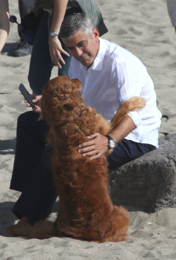 George Clooney y un perro con el que participó en un anuncio. George Clooney y un perro con el que participó en un anuncio.
