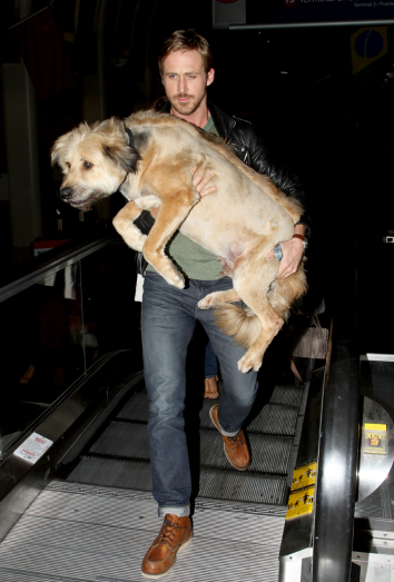 Ryan Gosling y George, su enorme perro