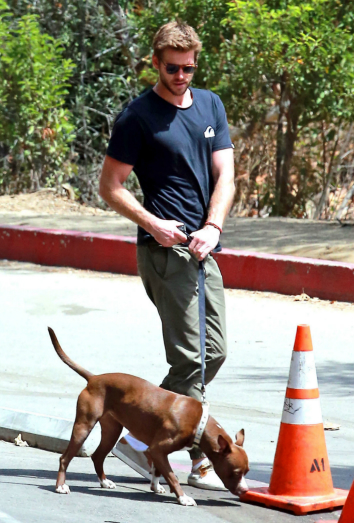 Liam Hemsworth y su perra Tani: ¡adorables!