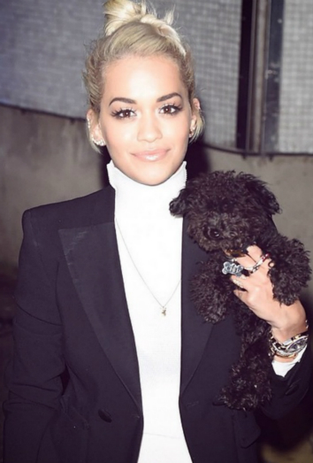 Rita Ora y su perro: las mascotas de los famosos