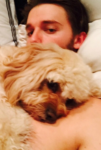 Champs, el Cockapoo de Patrick Schwarzenegger