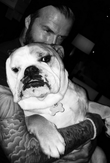 Olive, el Cocker Spaniel y Coco, el Bulldog inglés de los Beckham Olive, el Cocker Spaniel y Coco, el Bulldog inglés de los Beckham