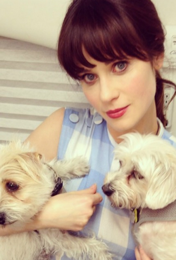 Perros de famosos: las perritas rescatadas de Zooey Deschanel