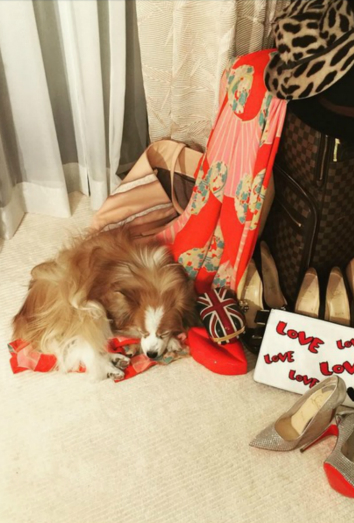 Stinky, el Papillón de Christina Aguilera Stinky, el Papillón de Christina Aguilera