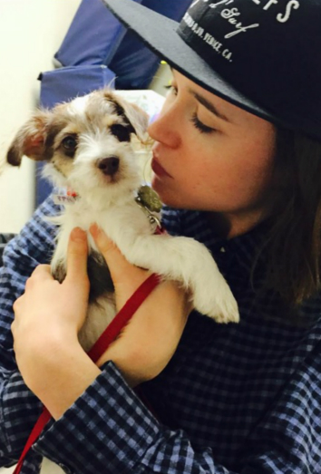Este es Patter el cachorro de Ellen Page Este es Patter el cachorro de Ellen Page