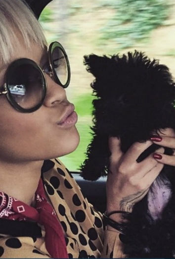 A Rita Ora también le gustan los perros pequeños. 