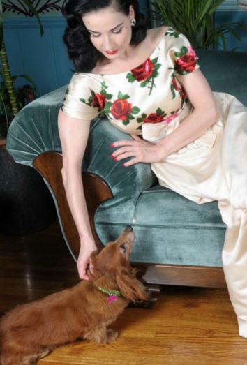 Dita Von Teese también tiene perros de esta raza. Dita Von Teese también tiene perros de esta raza.