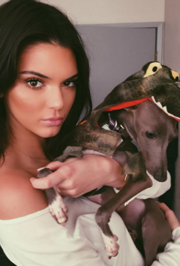 Kendall Jenner y Norman, el perro de su hermana. ¿Te gusta el nombre del perro?
