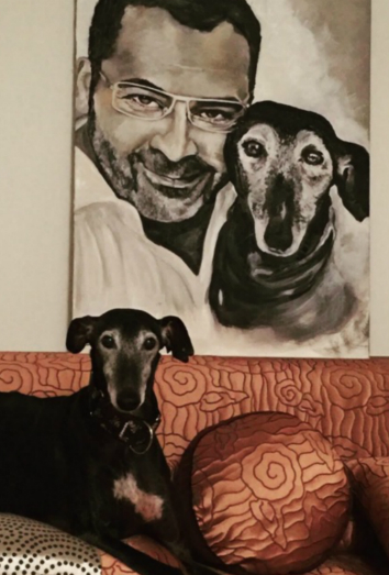 Este es Cartago, uno de los galgos de Jorge Javier Vázquez Este es Cartago, uno de los galgos de Jorge Javier Vázquez