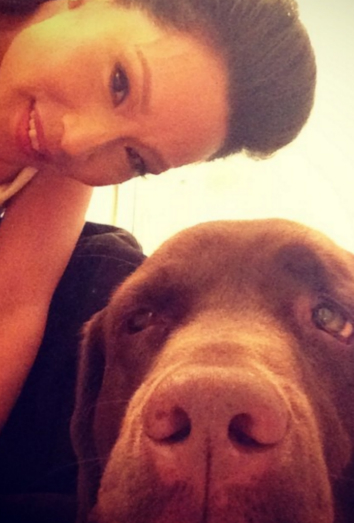 Apple, el Labrador Retriever de Lucy Liu