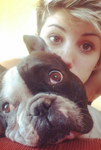 Este es Elvis, el Bulldog Francés de Angy Fernández Este es Elvis, el Bulldog Francés de Angy Fernández