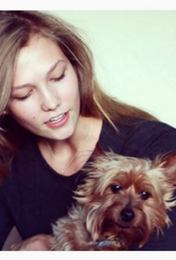Joe, el yorkshire terrier de Karlie Kloss Joe, el yorkshire terrier de Karlie Kloss
