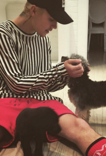 Esther y Phil, los perros de Justin Bieber Esther y Phil, los perros de Justin Bieber