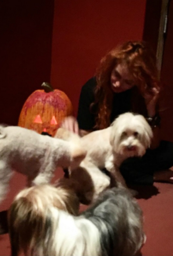 Paulina Rubio y sus perros Filipo, Lima y Cookie.