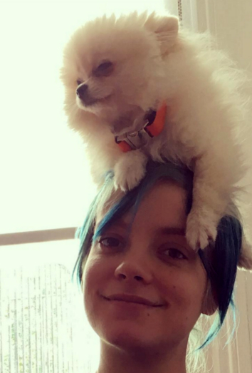 Esta es Pasta, la pomerania de Lily Allen Esta es Pasta, la pomerania de Lily Allen