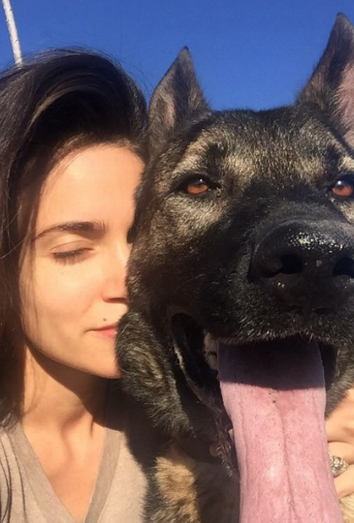 Uno de los perros de Ian Somerhalder y Nikki Reed Uno de los perros de Ian Somerhalder y Nikki Reed