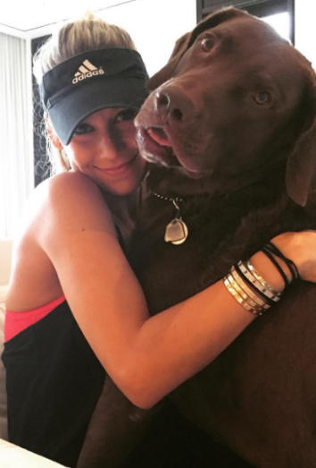 Este es Jack, el precioso chesapeake bay de Anna Kournikova Este es Jack, el precioso chesapeake bay de Anna Kournikova