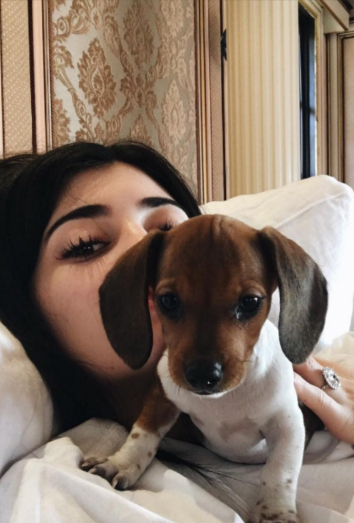 Perros de famosos: Penny, el nuevo cachorro de Kylie Jenner