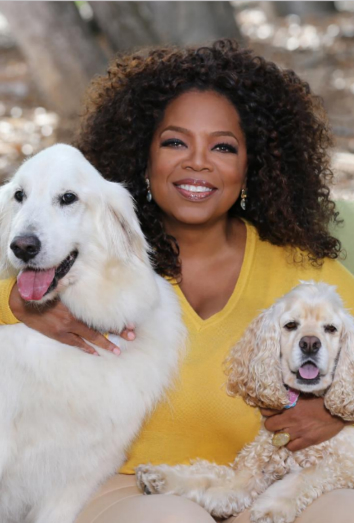Perros de famosos: los Spaniel y Golden de Oprah Winfrey