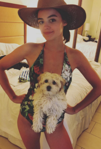 Lucy Hale es la dueña de Elvis, el maltipoo Lucy Hale es la dueña de Elvis, el maltipoo