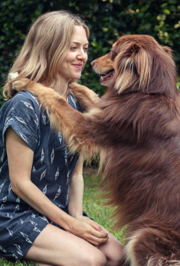 Descubre el nombre más adecuado para tu perro según su raza. 