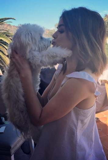 Inspírate en los nombres de los cantantes para saber cómo llamar a tu perro. Inspírate en los nombres de los cantantes para saber cómo llamar a tu perro.