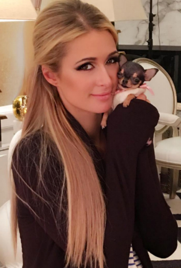 10 nombres para perros hembra inspirados en celebrities