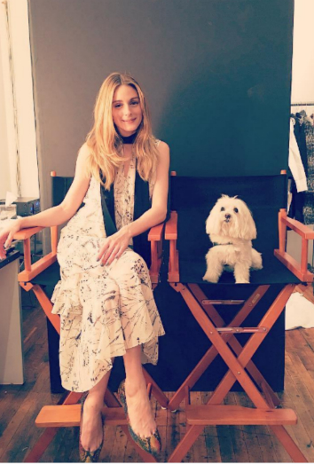 10 nombres para perros hembra muy bellos 10 nombres para perros hembra muy bellos