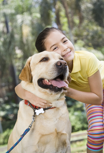 Objetivo: elegir el nombre perfecto para tu perro
