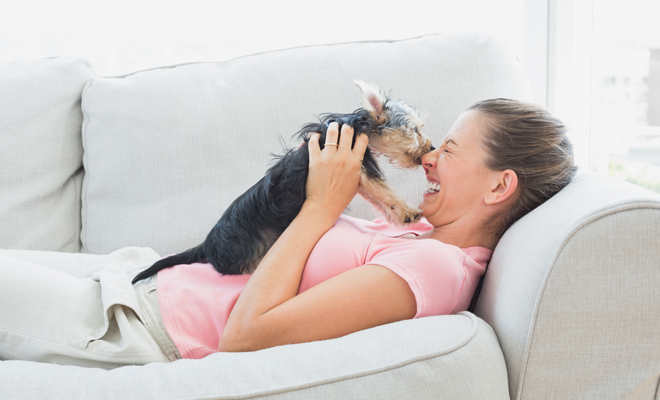Nombres perfectos para perros pequeños Nombres perfectos para perros pequeños